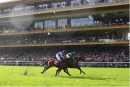 Daryz (Mickaël Barzalona) holds on well to beat the gallant favourite Minnie Hauk (Christophe Soumillon) in a thrilling finish (